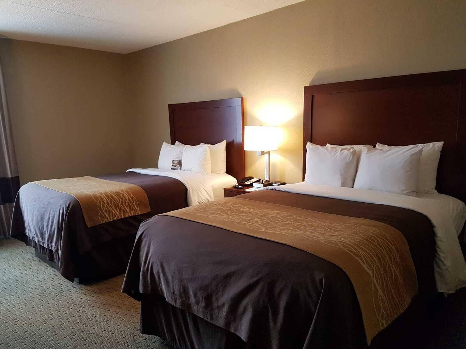 Comfort Inn Wethersfield - Hartford Exterior photo
